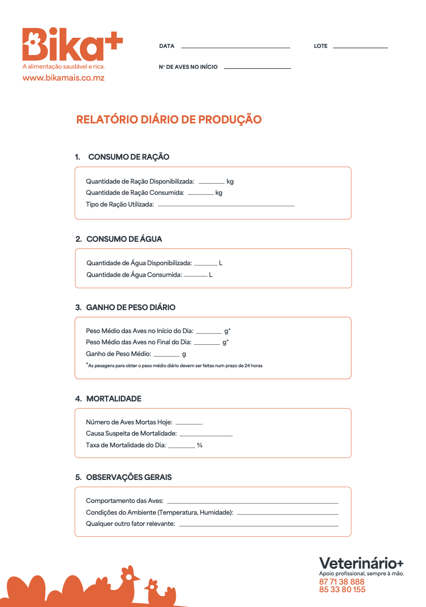 Relatório de Produção